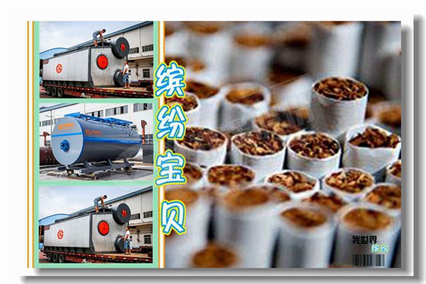 国内锅炉厂家有哪些？？？？？？如何选择？？？？？？